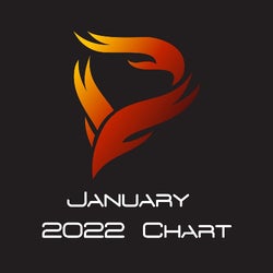Rodman's TTE January 2022 Chart