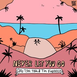 Never Let You Go (feat. Tim d'Aboville)