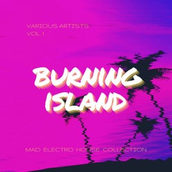 Burning Island (Mad Electro House Collection), Vol. 1