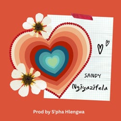 Ngiyazifela