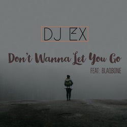 Don't Wanna Let You Go (feat. Blaqbone)