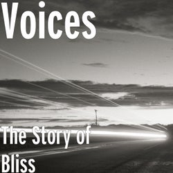 The Story of Bliss