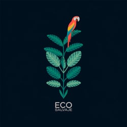 Eco salvaje