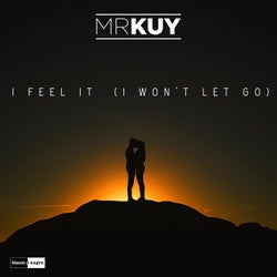 I Feel It (I Won't Let You Go) (Extended Mix)