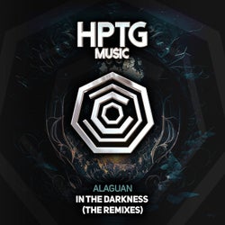In The Darkness (The Remixes)
