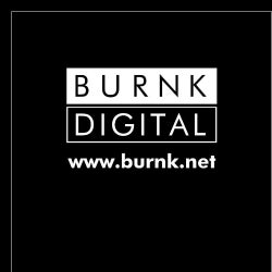 Burnk Digital February Chart