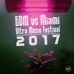 EDM vs Miami Ultra Music Festival 2017