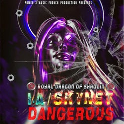 Ai Skynet Dangerous