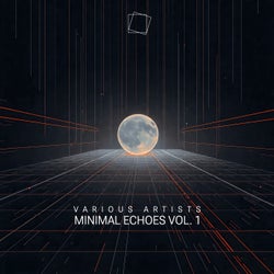 Minimal Echoes vol.1