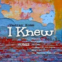 I Knew Vol.1
