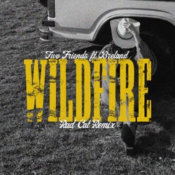Wildfire (Rad Cat Remix)