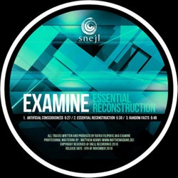 Essential Reconstruction
