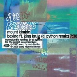 Boxing feat. King Krule - DJ Python Remix