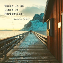 Lebedev (RU) - There Is No Limit To Perfection LP