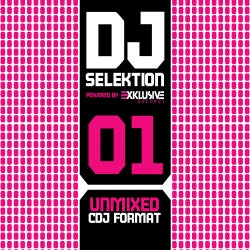 DJ Selektion 01