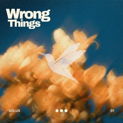 Wrong Things