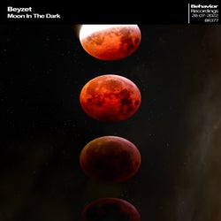 Moon In The Dark