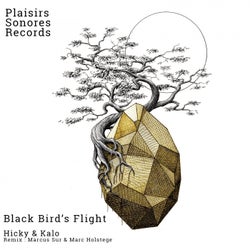 Black Bird's Flight
