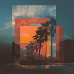 Palmera