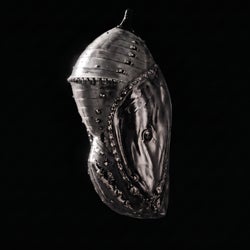 Chrysalis