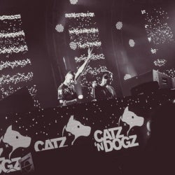 CATZ 'N DOGZ - ONE PAW IN THE POOL