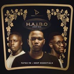 HAIBO (VSOP Mix)