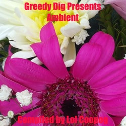 Greedy Dig Presents: Ambient