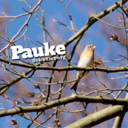 PAUKE DECEMBER CHARTS