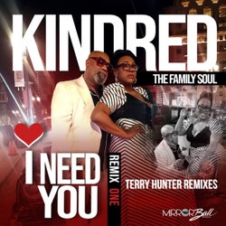 I Need You - Terry Hunter Remixes