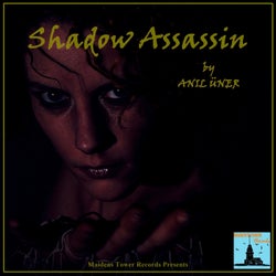 Shadow Assassin