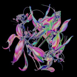Momentum (Extended Mix)