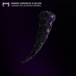 Cover für I Wanna Feel (Schranz Rework)