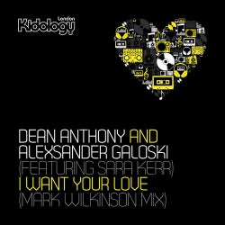 I Want Your Love (Mark Wilkinson Mix)