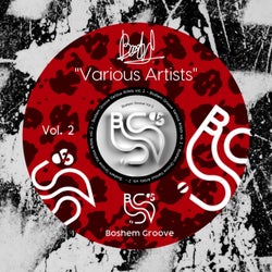 Various Artists Vol. 2