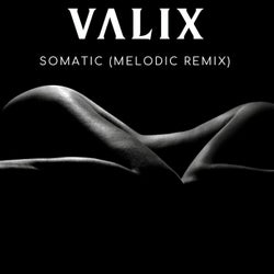 Somatic (Melodic Remix)