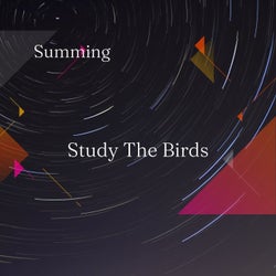 Study The Birds