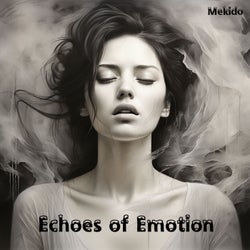 Echoes of Emotion