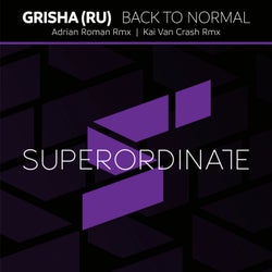 Back to Normal ( the Remixes )