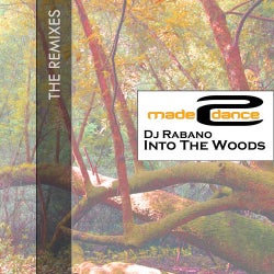 Into The Woods The Remixes