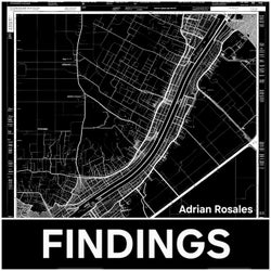 FINDINGS