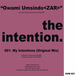 The Intention (Original Mix)