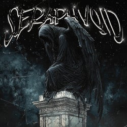 Seraphvoid
