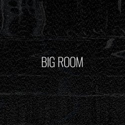 Biggest Basslines: Big Room
