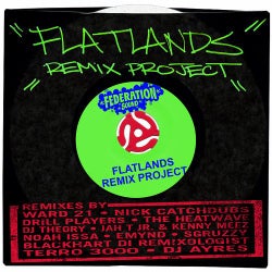 Flatlands Remix Project