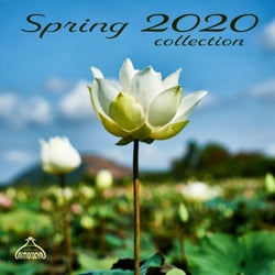Spring 2020 Collection (Radio Edits)