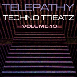 Techno Treatz Volume 13