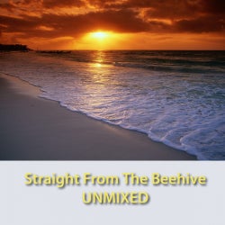Straight From the Beehive 004 UNMIXED