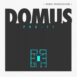 Domus Pro 11