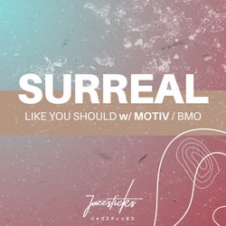 Like You Should / BMO