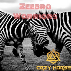 Zeebra Warriors